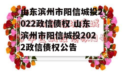 山东滨州市阳信城投2022政信债权 山东滨州市阳信城投2022政信债权公告