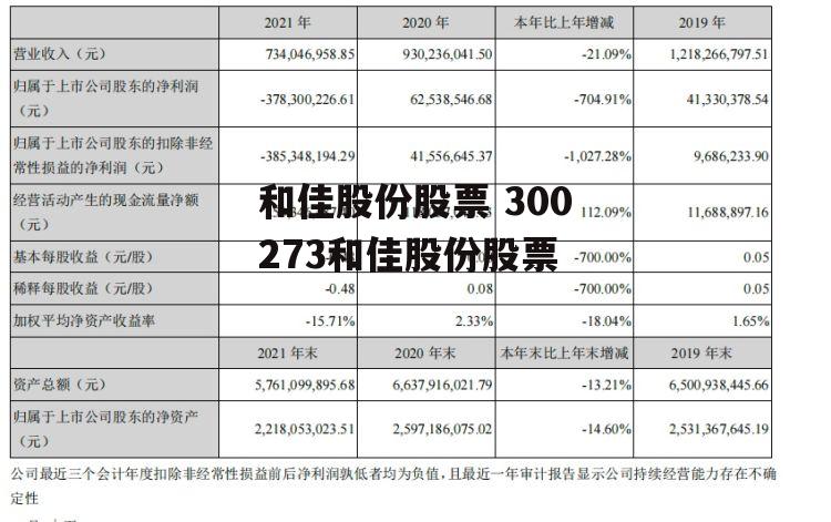 和佳股份股票 300273和佳股份股票