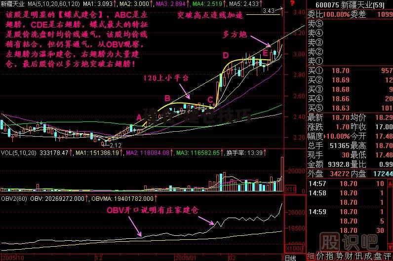 建仓 建仓技巧