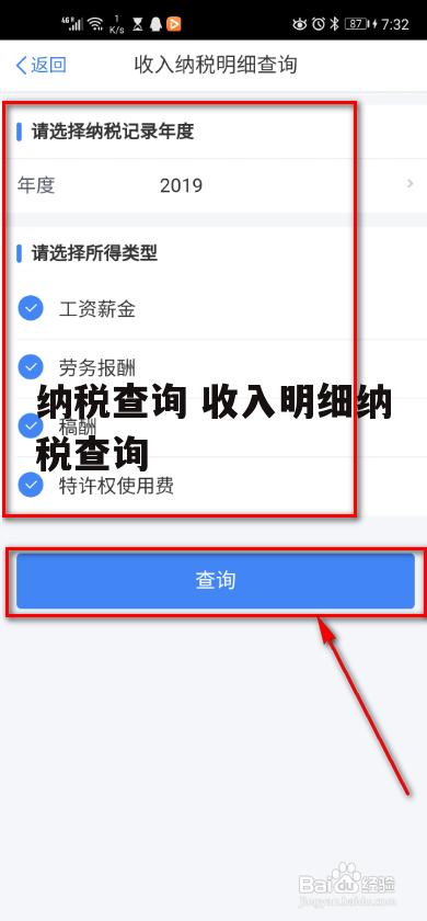 纳税查询 收入明细纳税查询