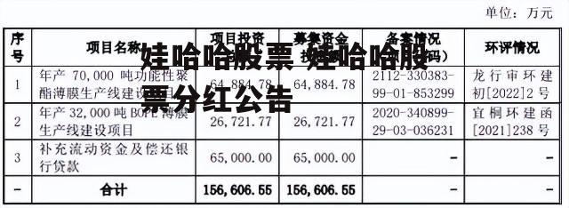 娃哈哈股票 娃哈哈股票分红公告