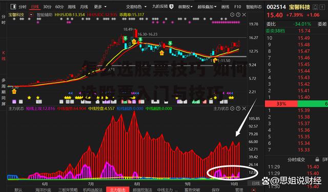 怎么选股票技巧 如何选股票入门与技巧