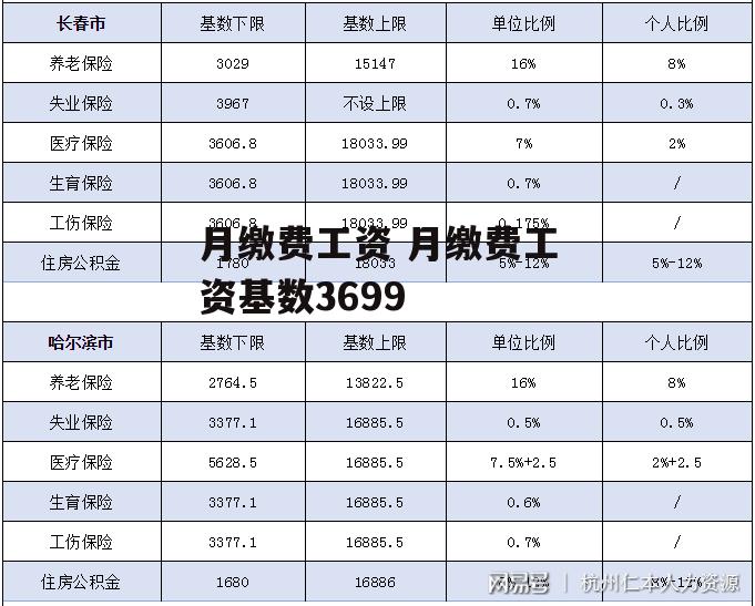 月缴费工资 月缴费工资基数3699