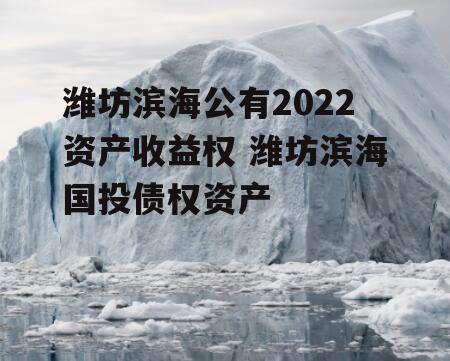 潍坊滨海公有2022资产收益权 潍坊滨海国投债权资产