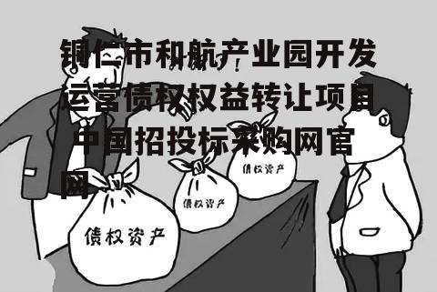 铜仁市和航产业园开发运营债权权益转让项目 中国招投标采购网官网