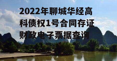 2022年聊城华经高科债权1号合同存证 财政电子票据查询