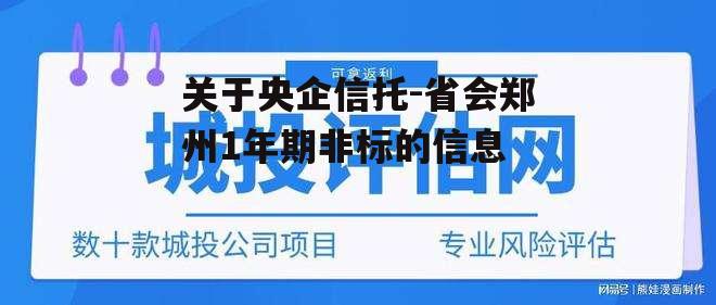 关于央企信托-省会郑州1年期非标的信息