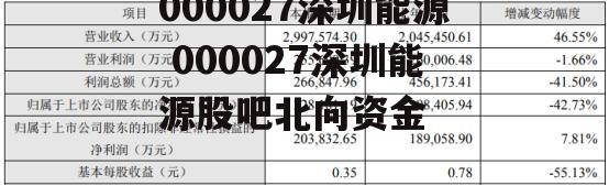 000027深圳能源 000027深圳能源股吧北向资金