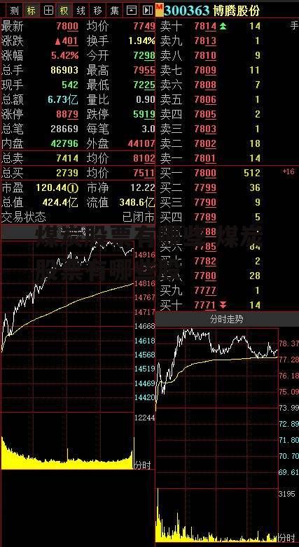 煤炭股票有哪些 煤炭股票有哪些股