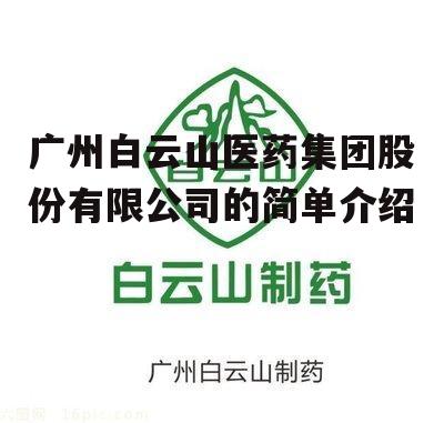 广州白云山医药集团股份有限公司的简单介绍