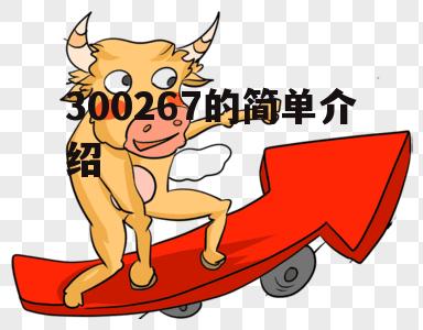 300267的简单介绍