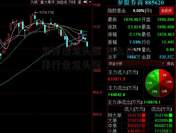 怎样选龙头股 怎么选择行业龙头股