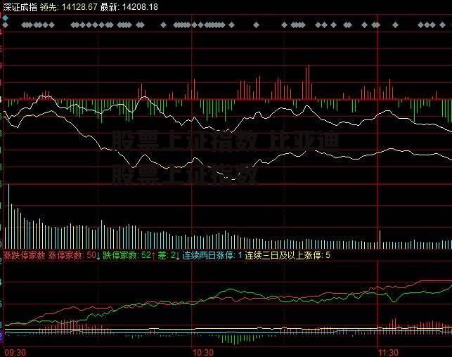 股票上证指数 比亚迪股票上证指数