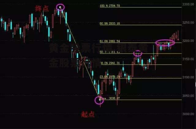 黄金股票行情 银泰黄金股票行情