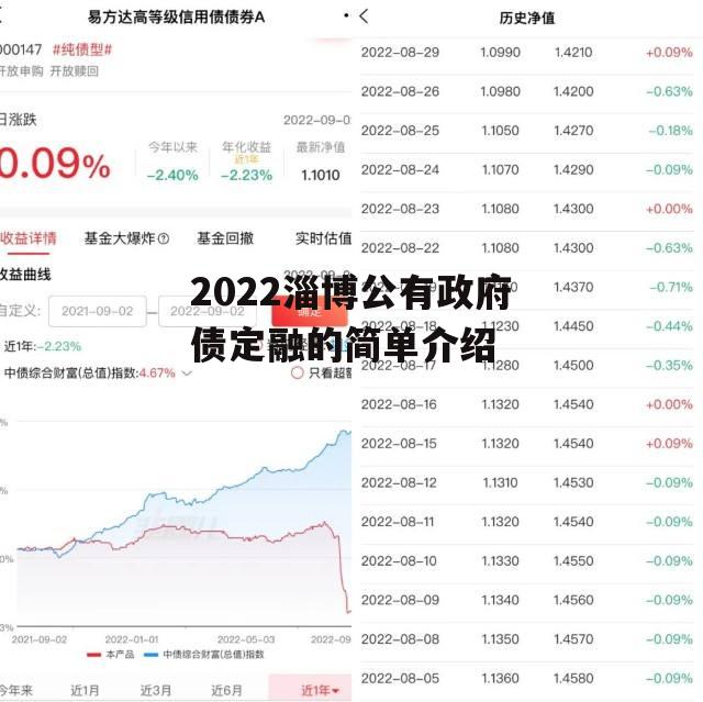 2022淄博公有政府债定融的简单介绍