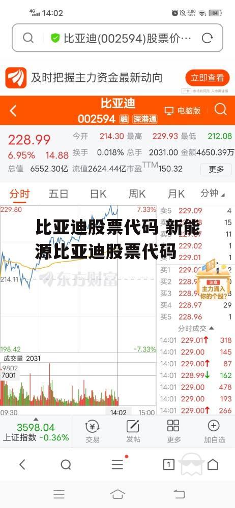 比亚迪股票代码 新能源比亚迪股票代码