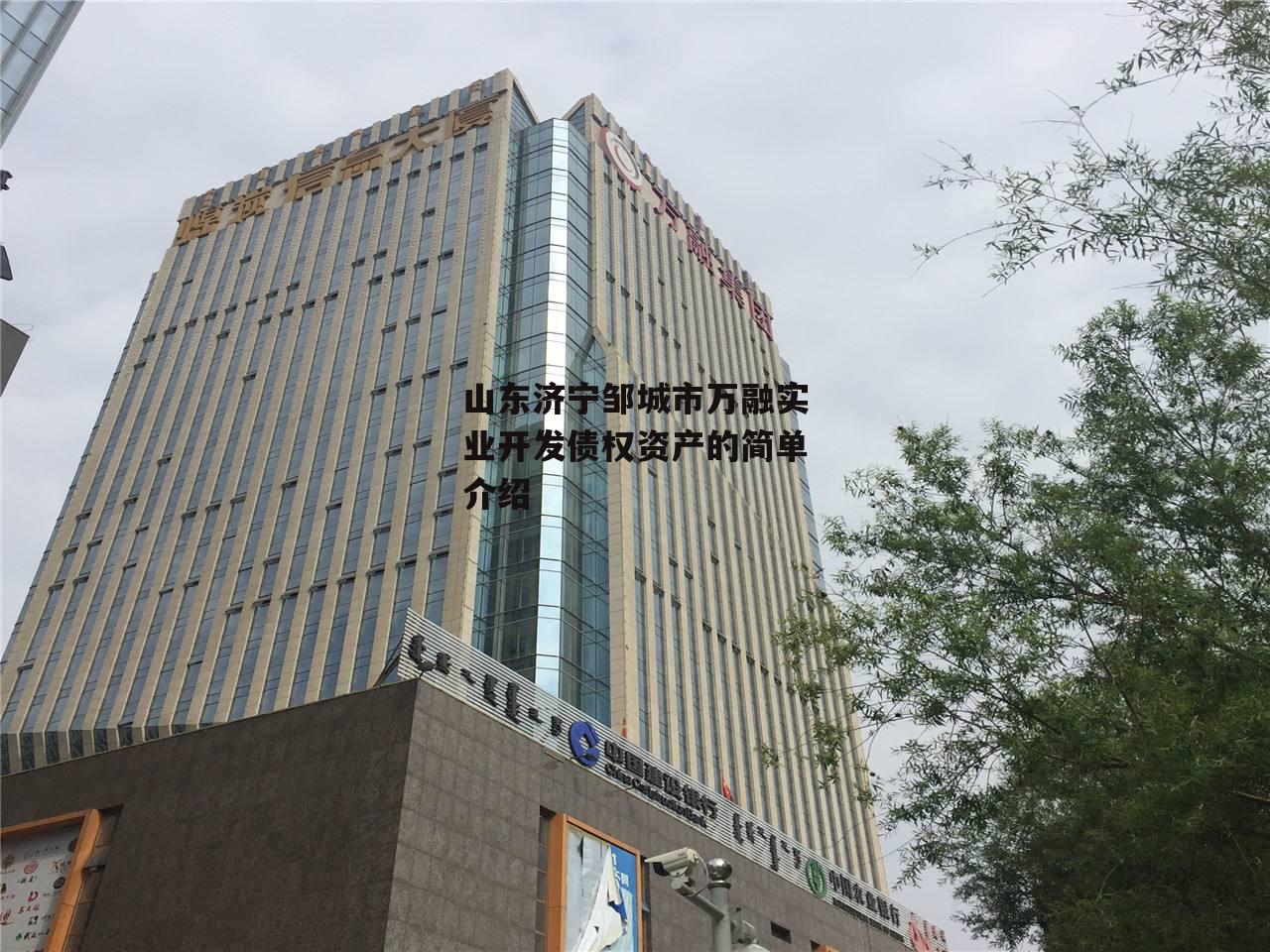 山东济宁邹城市万融实业开发债权资产的简单介绍