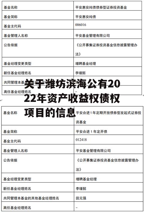 关于潍坊滨海公有2022年资产收益权债权项目的信息