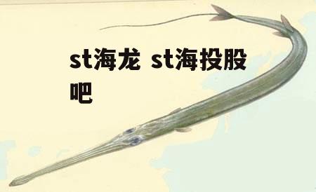 st海龙 st海投股吧