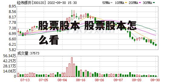 股票股本 股票股本怎么看