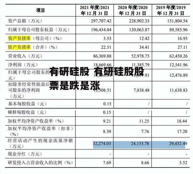 有研硅股 有研硅股股票是跌是涨