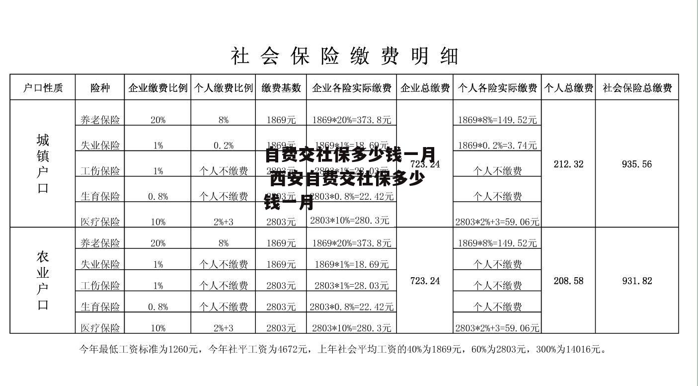 自费交社保多少钱一月 西安自费交社保多少钱一月