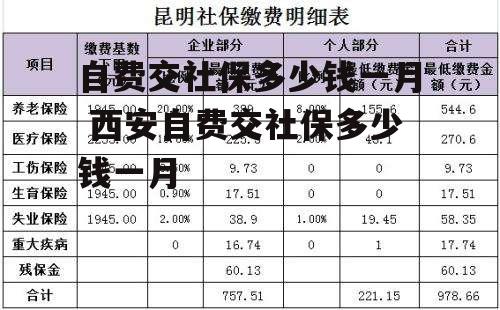 自费交社保多少钱一月 西安自费交社保多少钱一月