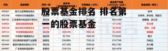 股票基金排名 排名第一的股票基金