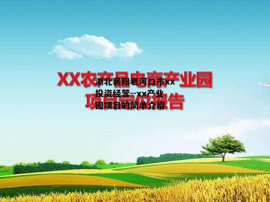 湖北襄阳老河口市xx投资经营--xx产业园项目的简单介绍