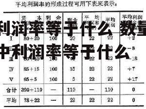 利润率等于什么 数量中利润率等于什么