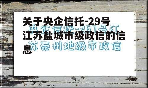 关于央企信托-29号江苏盐城市级政信的信息