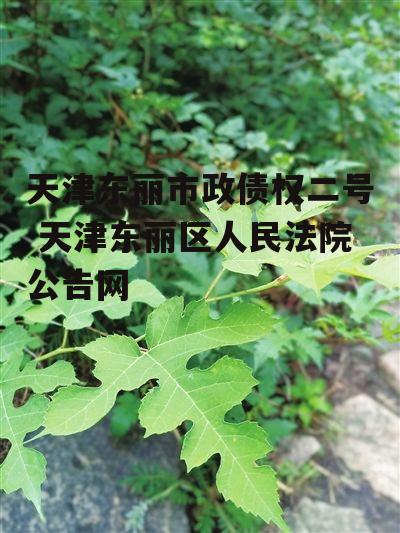 天津东丽市政债权二号 天津东丽区人民法院公告网