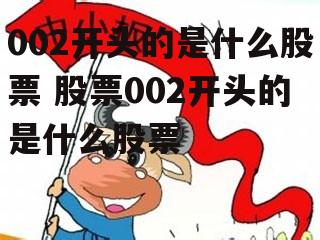 002开头的是什么股票 股票002开头的是什么股票