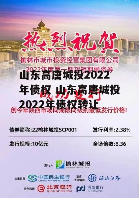 山东高唐城投2022年债权 山东高唐城投2022年债权转让