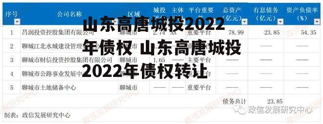 山东高唐城投2022年债权 山东高唐城投2022年债权转让