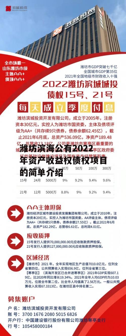 潍坊滨海公有2022年资产收益权债权项目的简单介绍