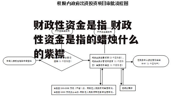 财政性资金是指 财政性资金是指的蜡烛什么的紫襟