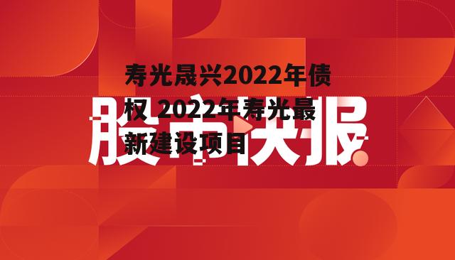 寿光晟兴2022年债权 2022年寿光最新建设项目