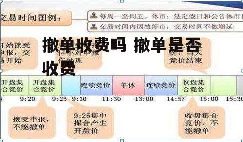 撤单收费吗 撤单是否收费