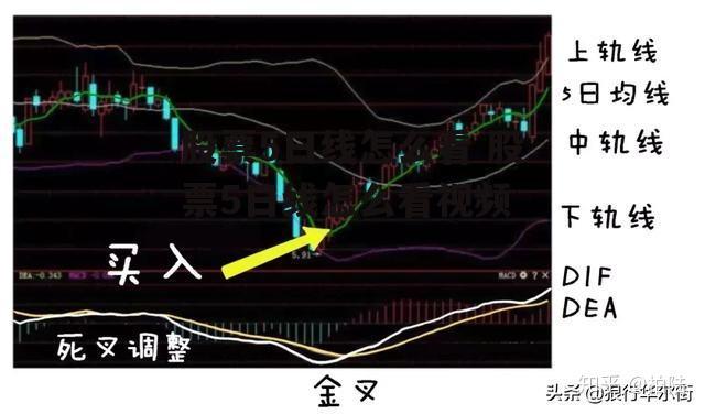 股票5日线怎么看 股票5日线怎么看视频