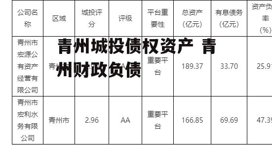 青州城投债权资产 青州财政负债