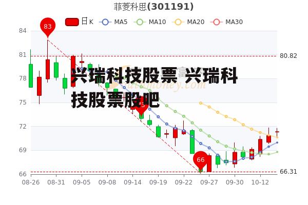 兴瑞科技股票 兴瑞科技股票股吧