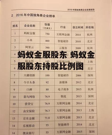 蚂蚁金服股东 蚂蚁金服股东持股比例图