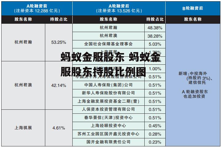 蚂蚁金服股东 蚂蚁金服股东持股比例图