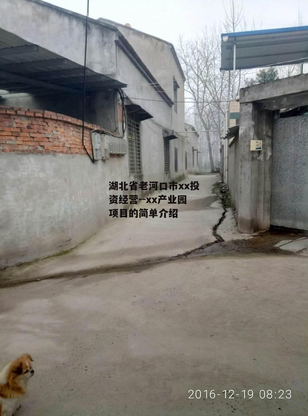 湖北省老河口市xx投资经营--xx产业园项目的简单介绍