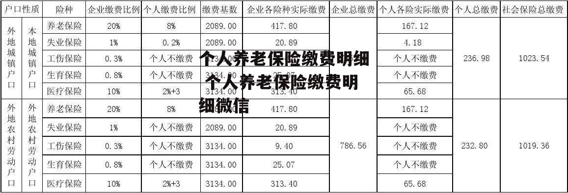 个人养老保险缴费明细 个人养老保险缴费明细微信