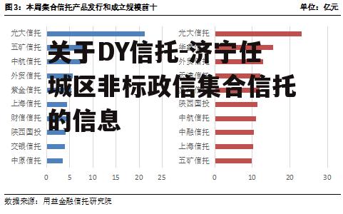 关于DY信托-济宁任城区非标政信集合信托的信息