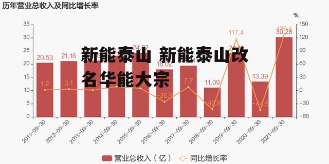 新能泰山 新能泰山改名华能大宗