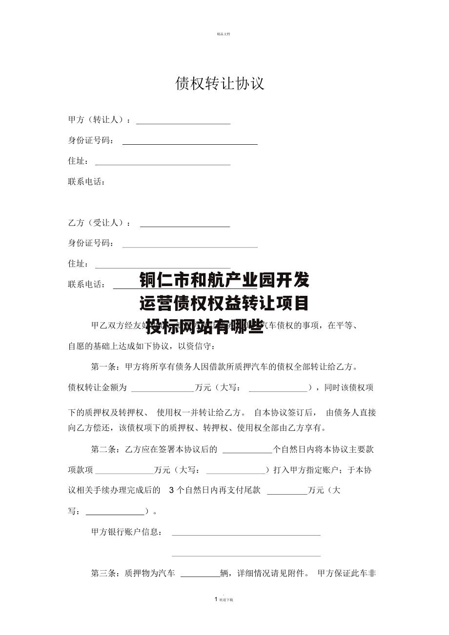 铜仁市和航产业园开发运营债权权益转让项目 投标网站有哪些