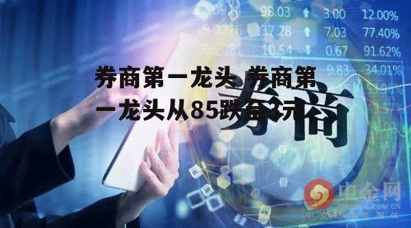 券商第一龙头 券商第一龙头从85跌至3元